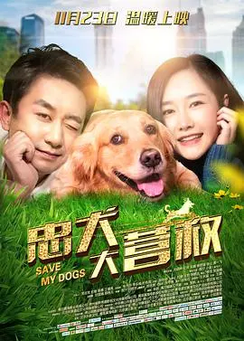 《忠犬大营救》：狗狗的史诗级救援！催泪弹预警，铲屎官必看！