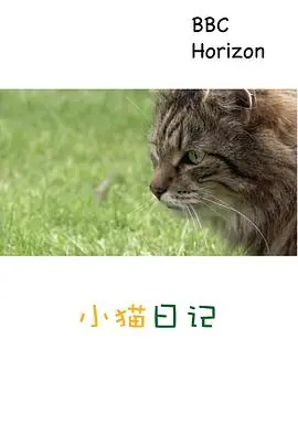 《地平线系列：小猫日记》：治愈系纪录片，捕捉小猫咪的成长瞬间，萌化你的心！
