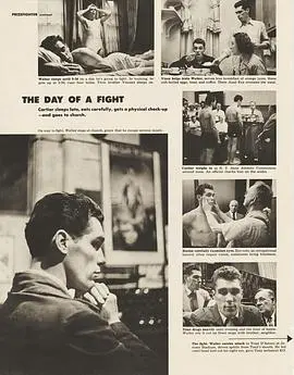 《拳赛之日》：血泪铸就的荣耀之路，热血逐梦的人生逆袭传奇